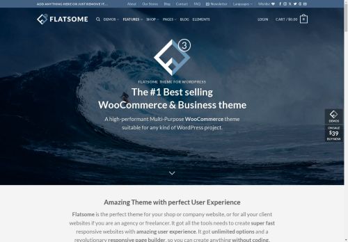 demos.flatsome.com