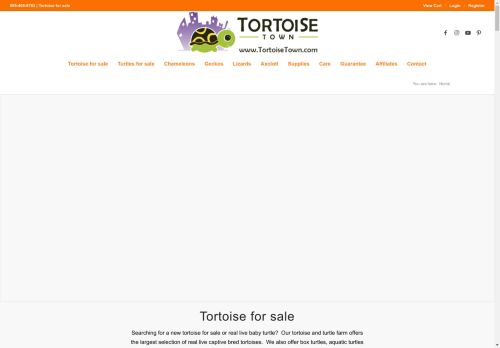 tortoisetown.com