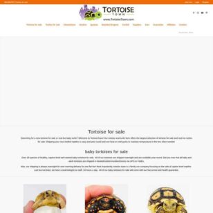 www-tortoisetown-com